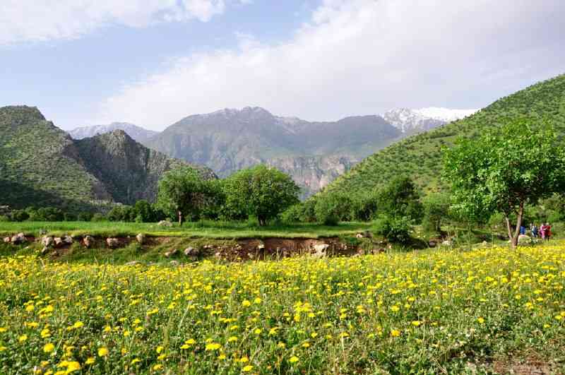 تورکمپینگ شاهو