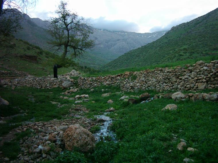 تورهای کمپینگ شاهو