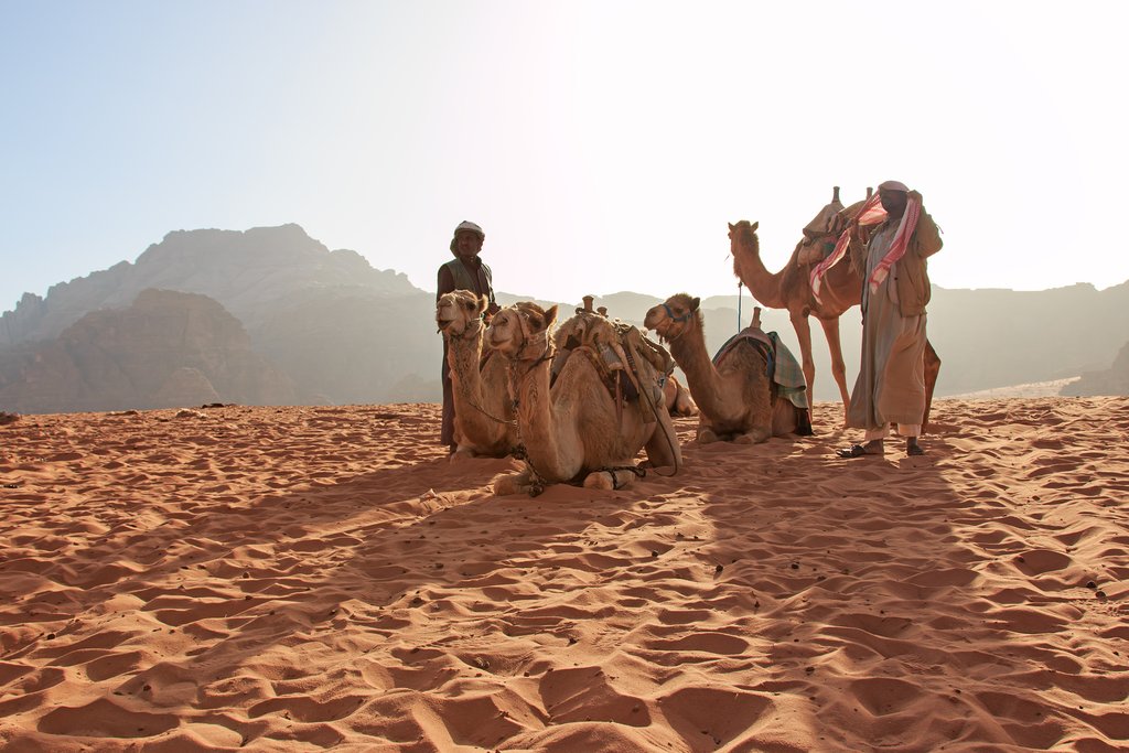 Bedouin Man at El Makhrom Mountain