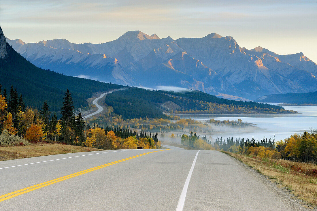 Autumn Along the David Thompson Highway