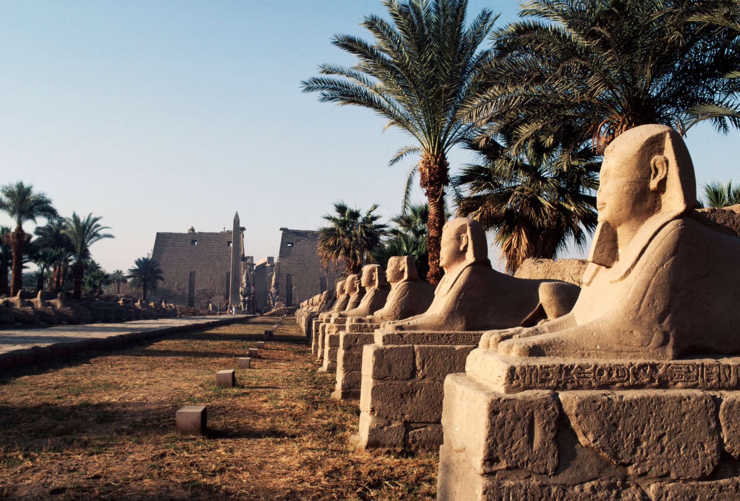 Avenue of the Sphinxes at Luxor