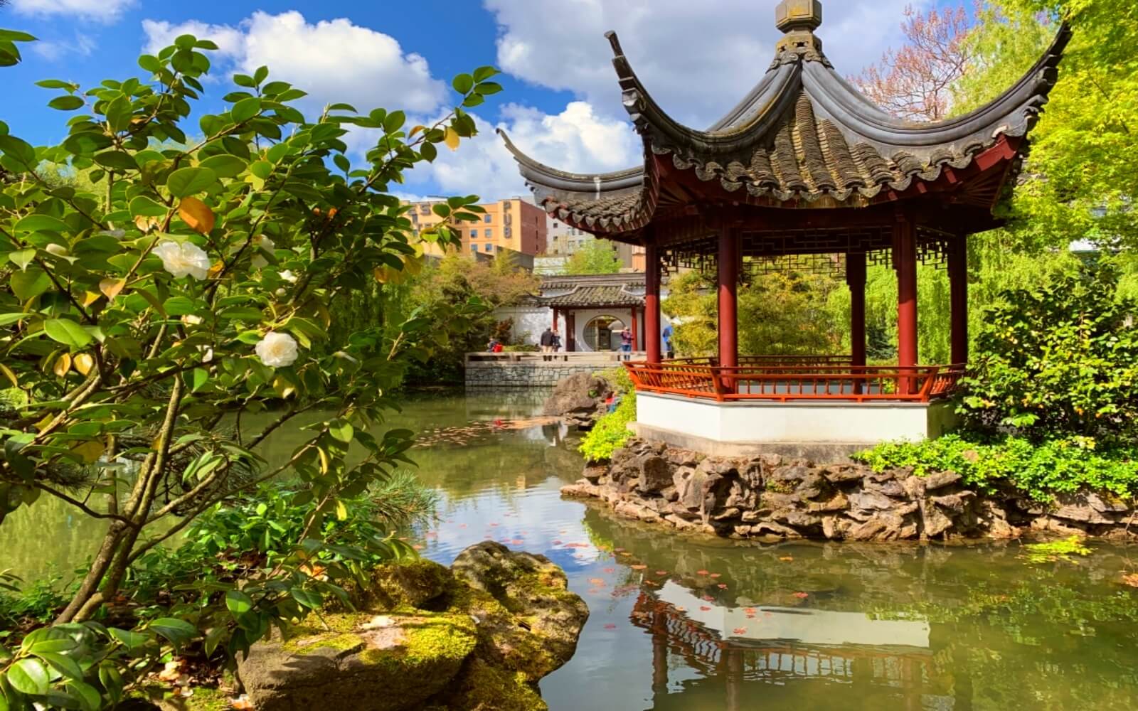 Sun-Yat-Sen Park and Gardens, Chinatown, Vanc