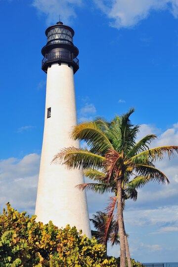 Palm Trees and Boulders Near the Lighthouse