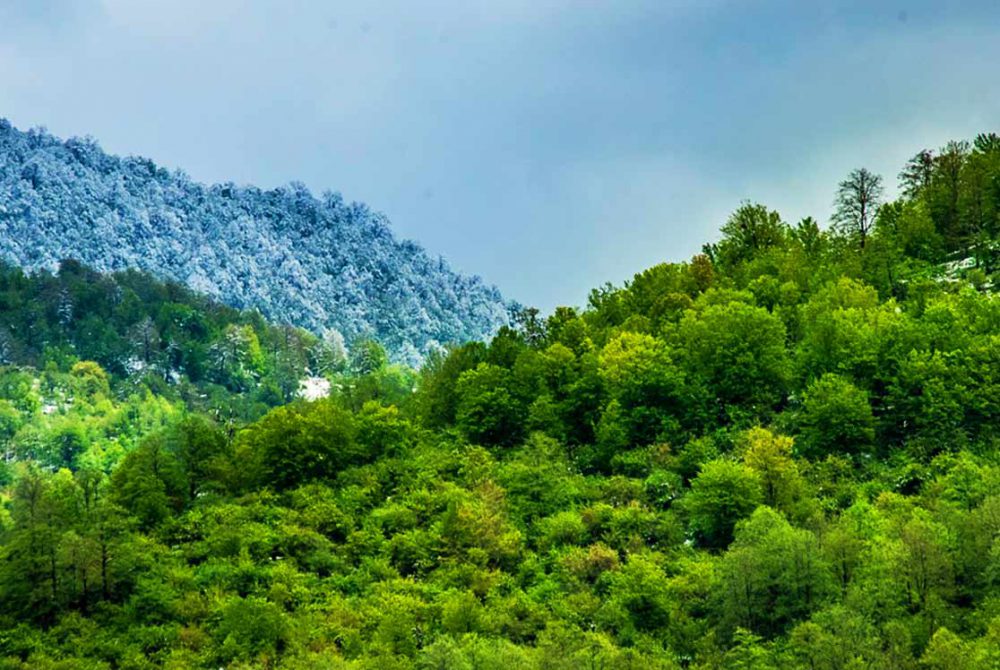 تورهای  آبگرم و جنگل بلیران