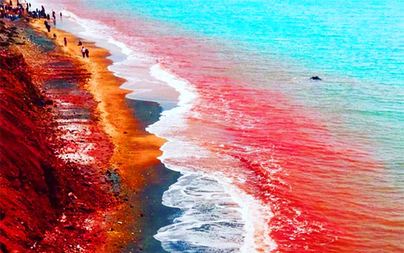 تورهای قطار جزیره هرمز