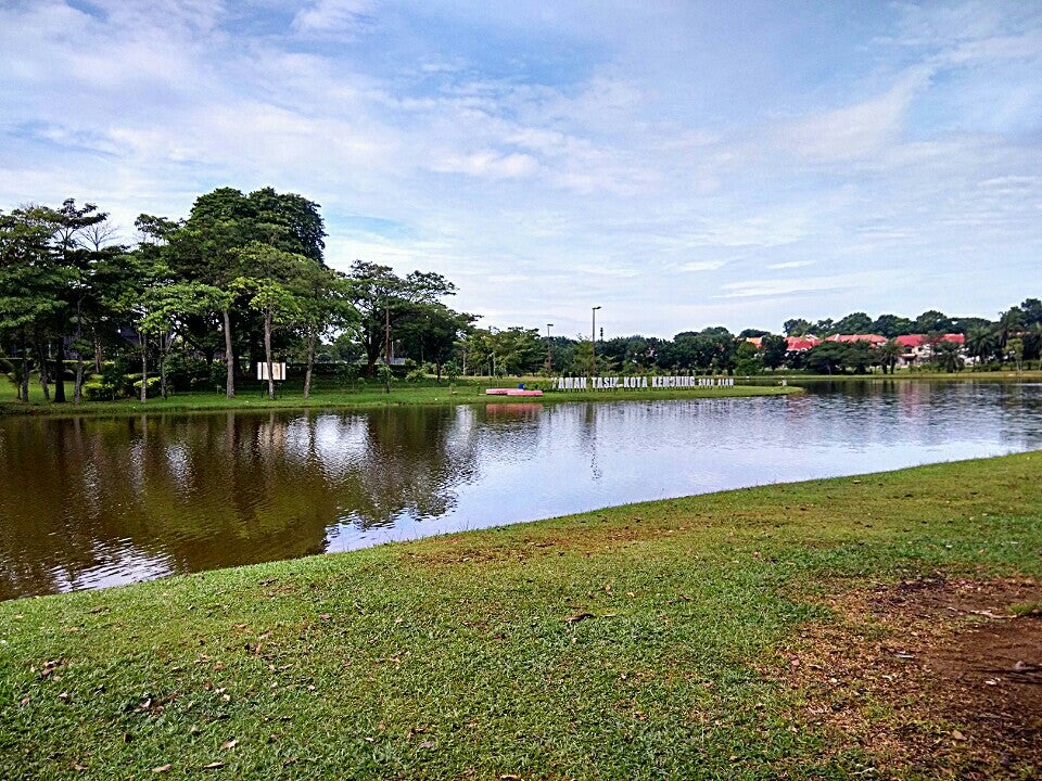 Park Surrounding Fir Lake