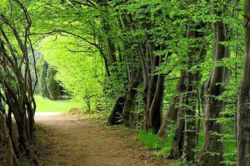 تورهای پیمایش قطری به سیاهرودبار 