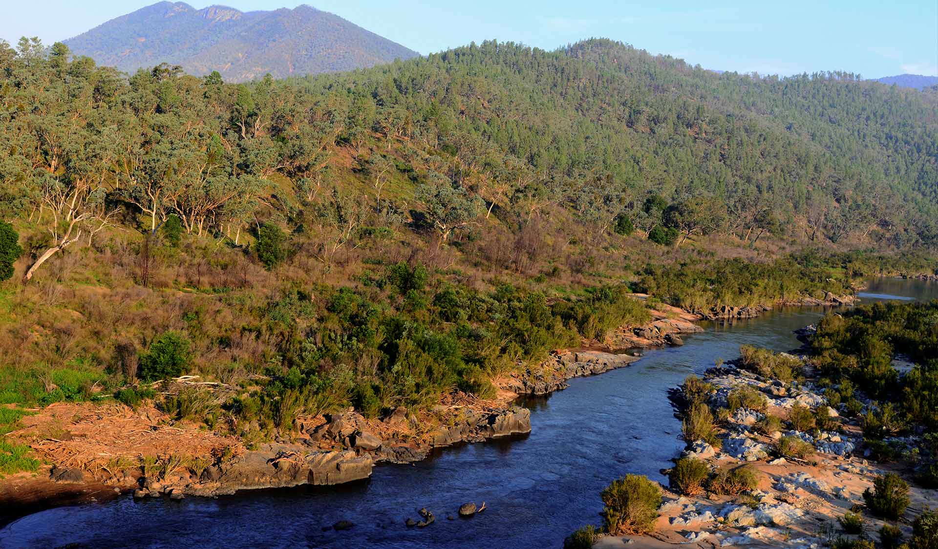 Bushland, Snowy River National Park, Victoria