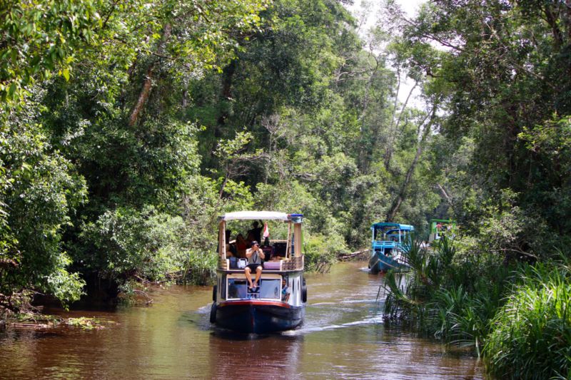 Motor Boat Traveling Along Jungle River